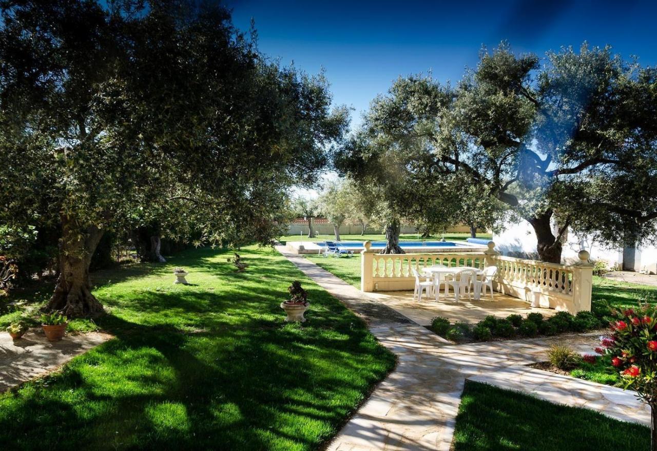 Villa With Great Pool Dog Friendly Vinaros Exterior photo