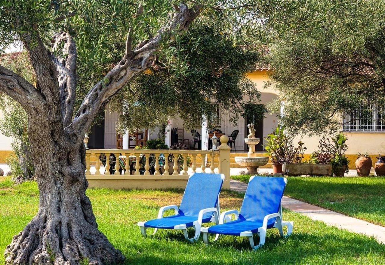 Villa With Great Pool Dog Friendly Vinaros Exterior photo