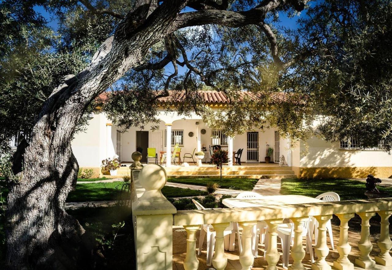 Villa With Great Pool Dog Friendly Vinaros Exterior photo